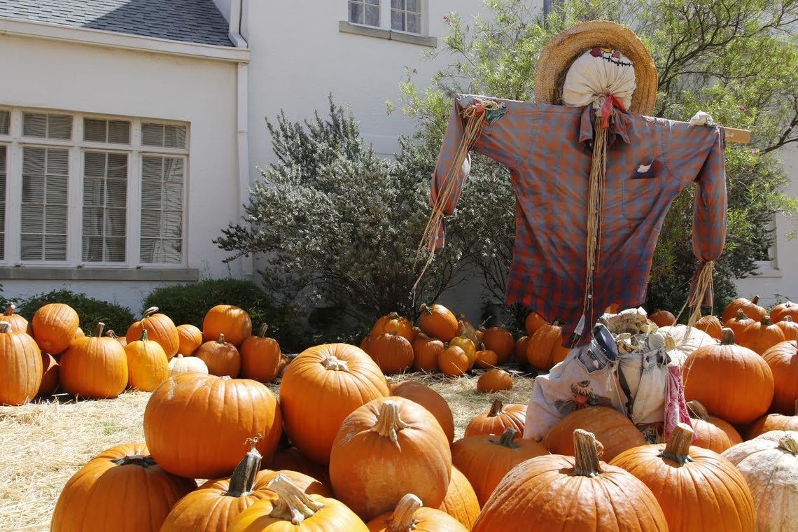 Pumpkin patch set to arrive at FUMC