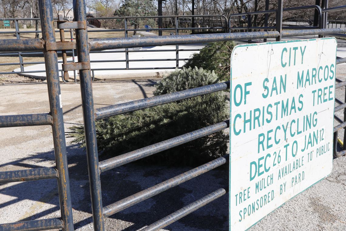 Residents have options for recycling live trees