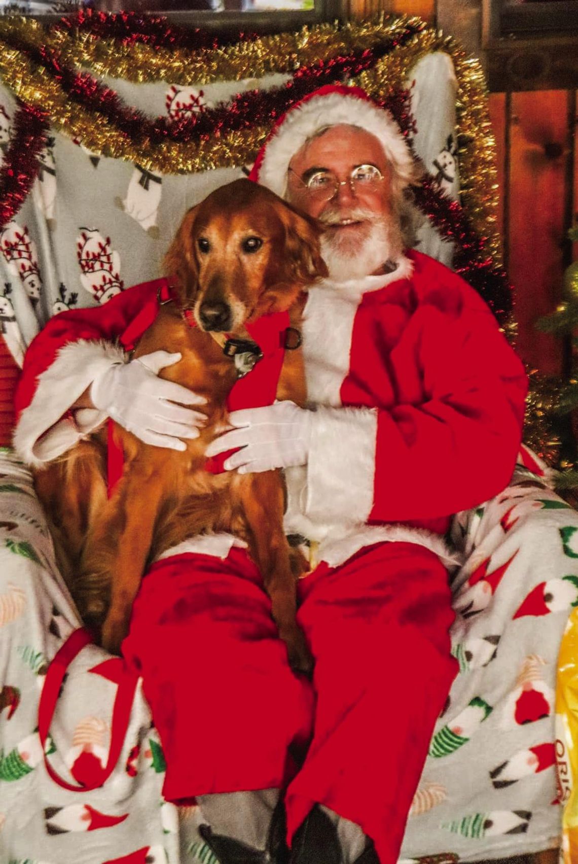 Santa Paws 2023