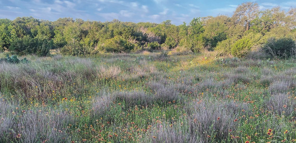 SAVING THE TEXAS HILL COUNTRY