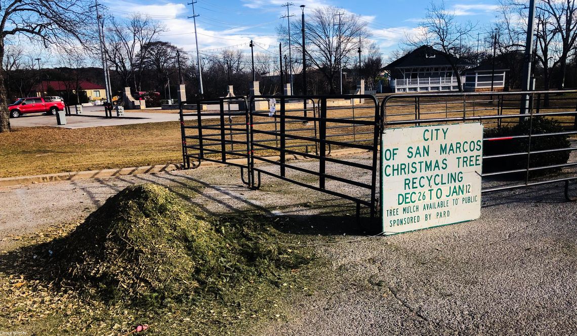 Season's end:  Christmas tree  recycling continues  