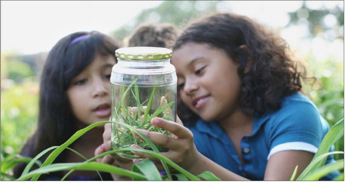 Seasons of Science brings free family science to local breweries Seasons of Science brings free family science to local breweries