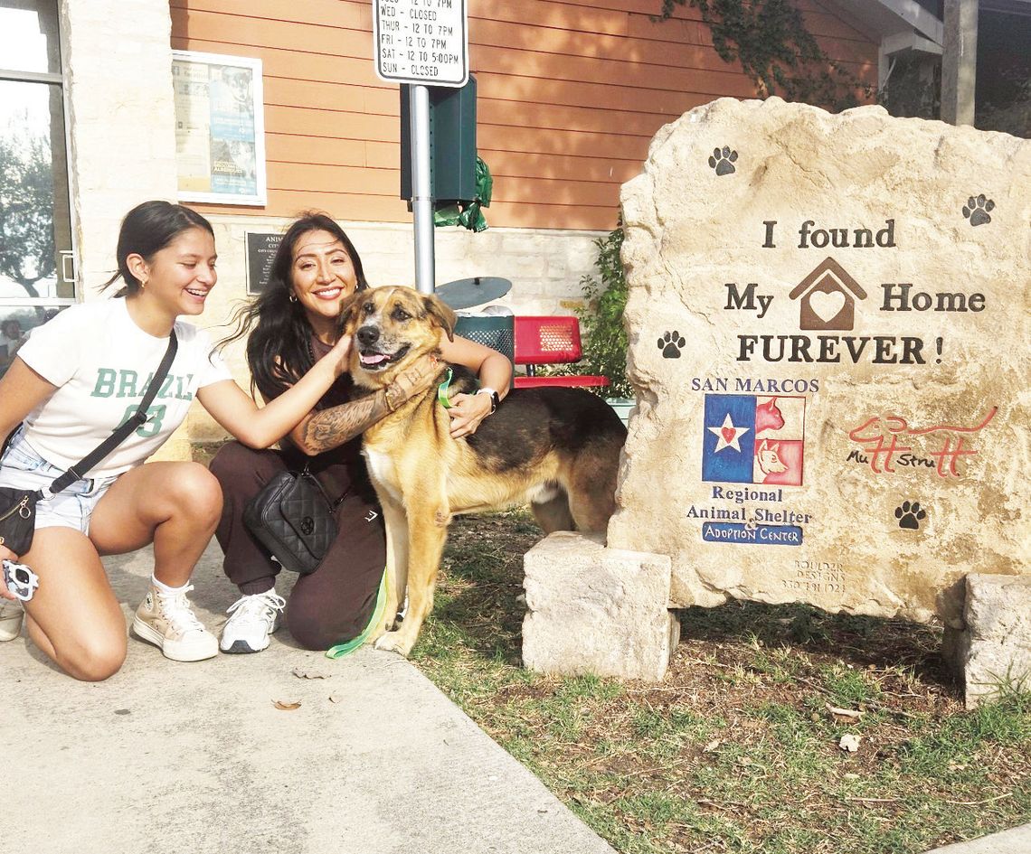 Shelter pleads for community support as kennels overflow Shelter pleads for community support as kennels overflow