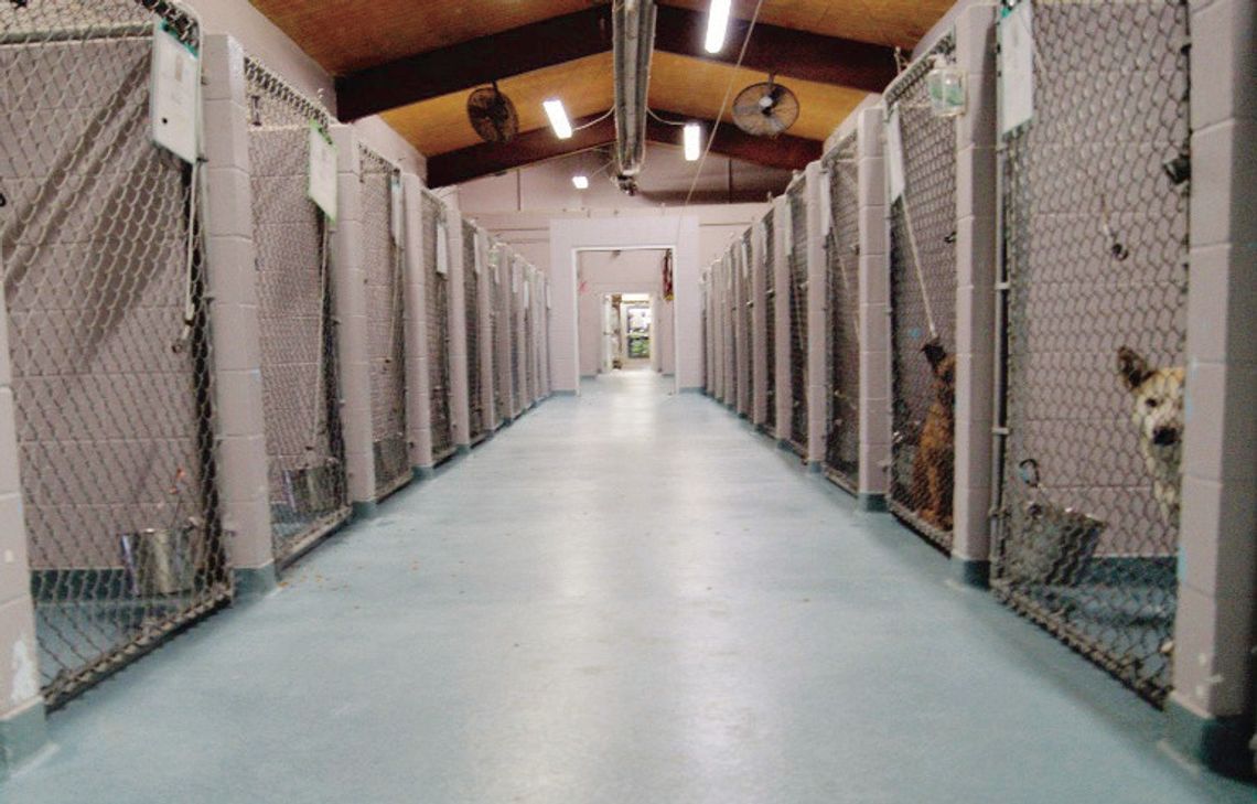 SMRAS faces overcrowding amid economic challenges