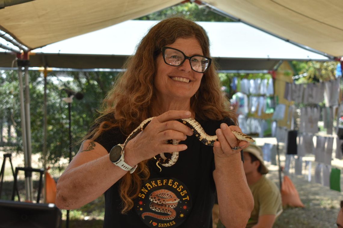 Snakefessst Successs