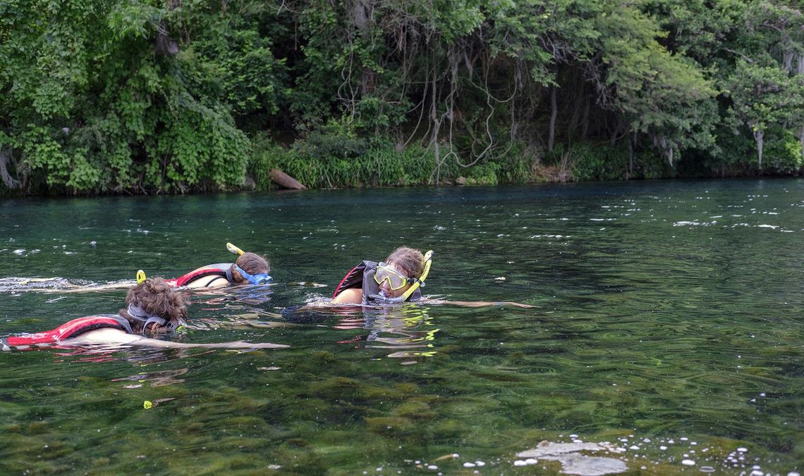 SNORKELING SAN MARCOS