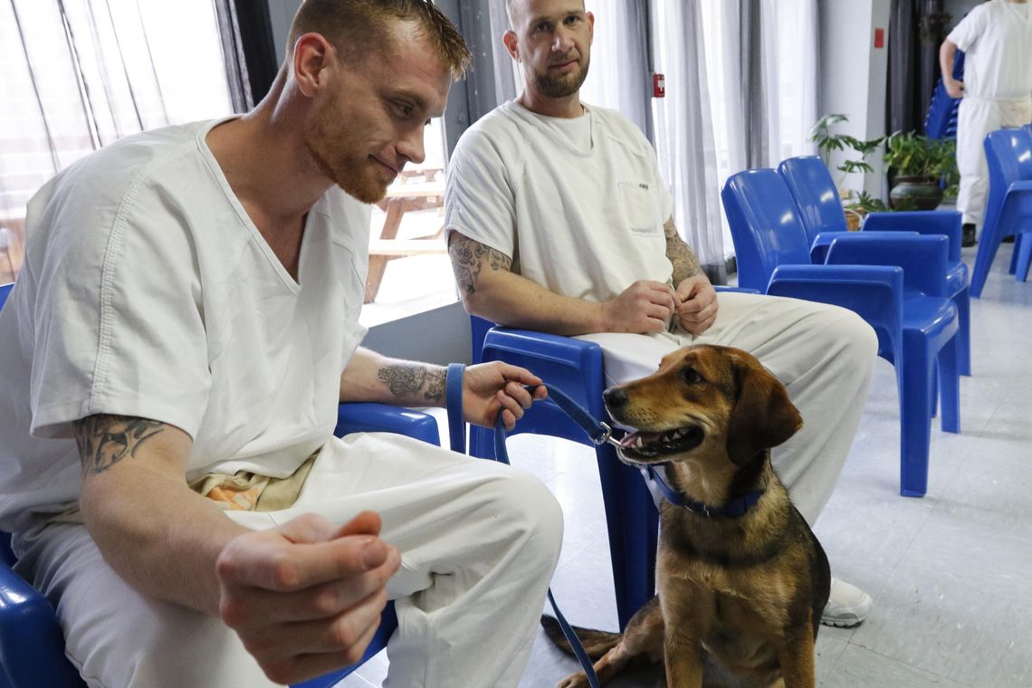 Sprung: Cell Dogs ‘graduate’ from time training behind bars