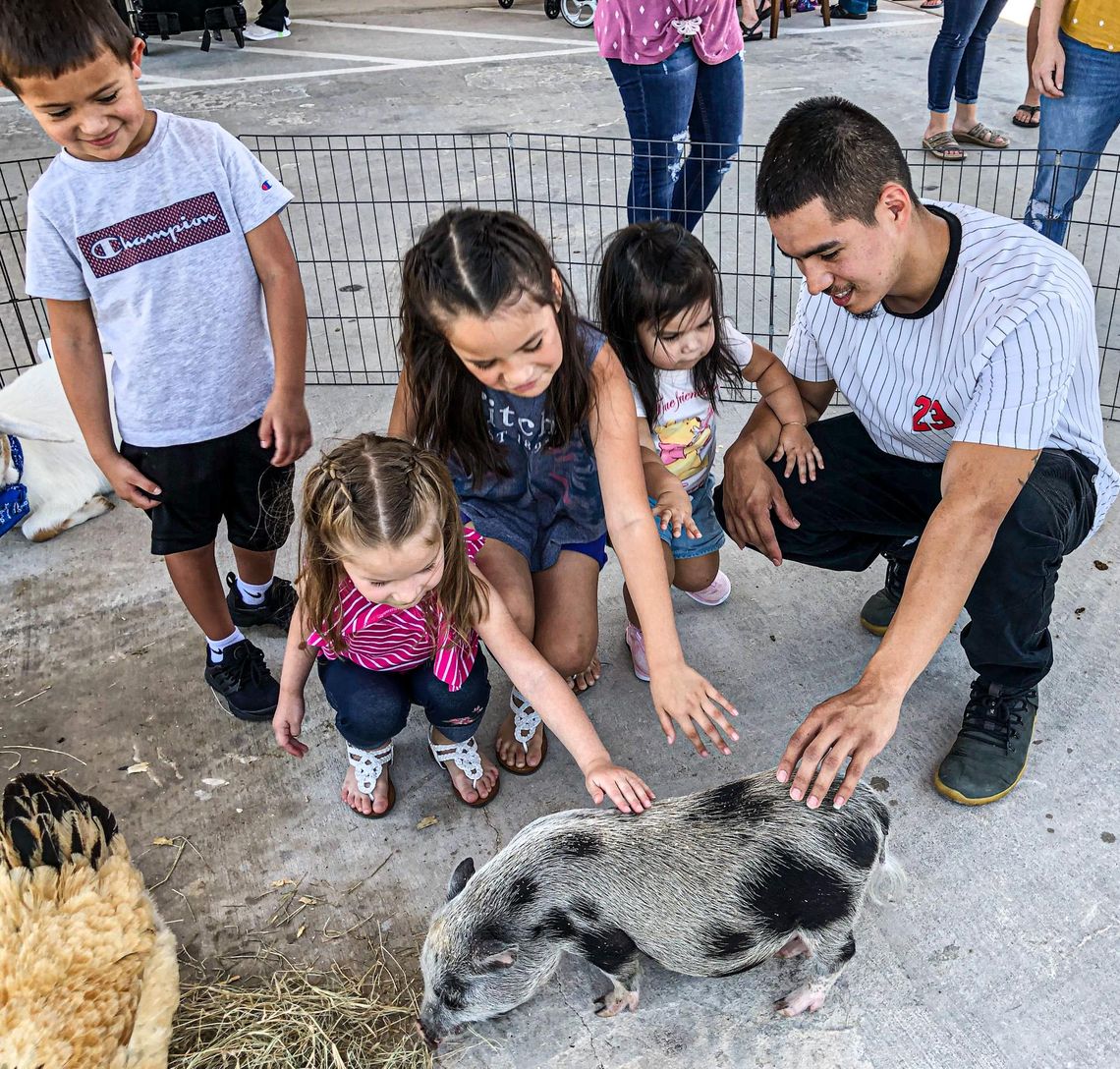 SUMMER FUN: Sage Springs Senior Living hosts family-friendly carnival SUMMER FUN: Sage Springs Senior Living hosts family-friendly carnival