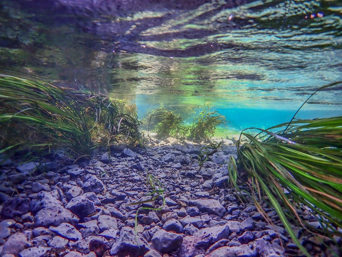 Susan Hanson to share SM River underwater photos with SMTX Rotary Susan Hanson to share SM River underwater photos with SMTX Rotary