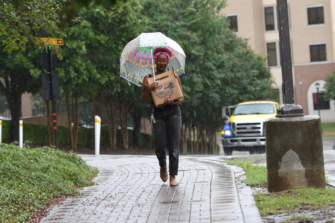 SWEET SUMMER RAIN SWEET SUMMER RAIN