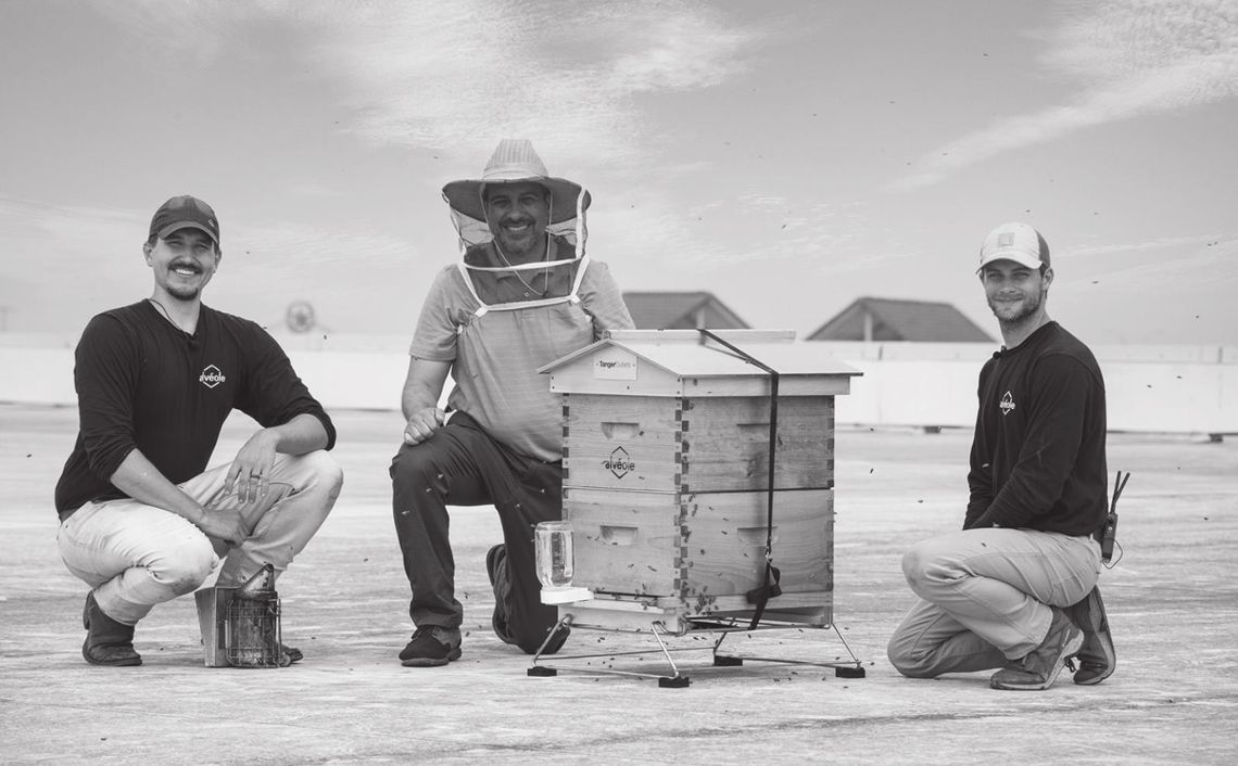 Tanger Outlets San Marcos abuzz with launch of urban beekeeping program