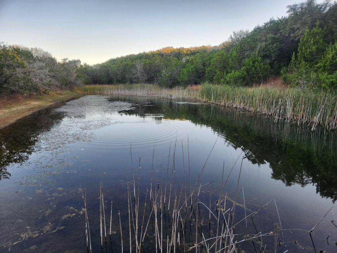 Texas State University System approves purchase of 128 acres adjacent to Spring Lake Texas State University System approves purchase of 128 acres adjacent to Spring Lake