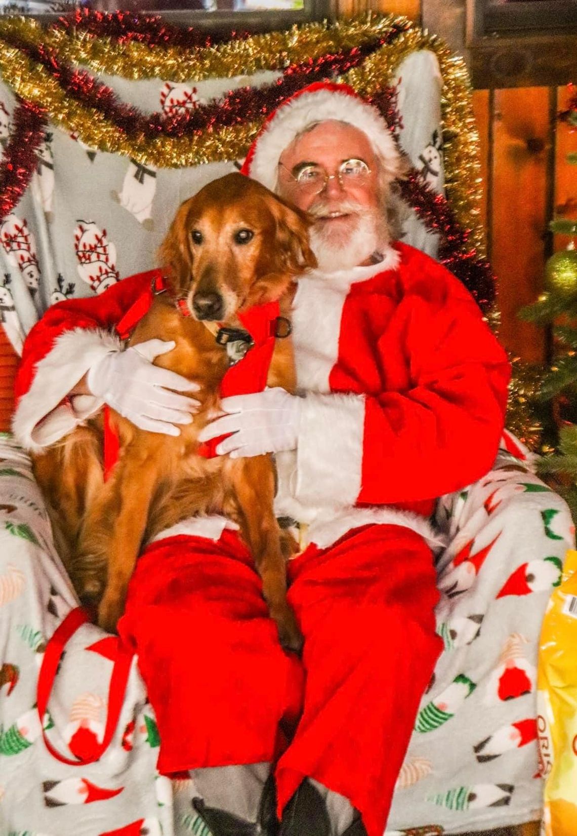 The Porch to host SANTA PAWS to benefit animal shelter 