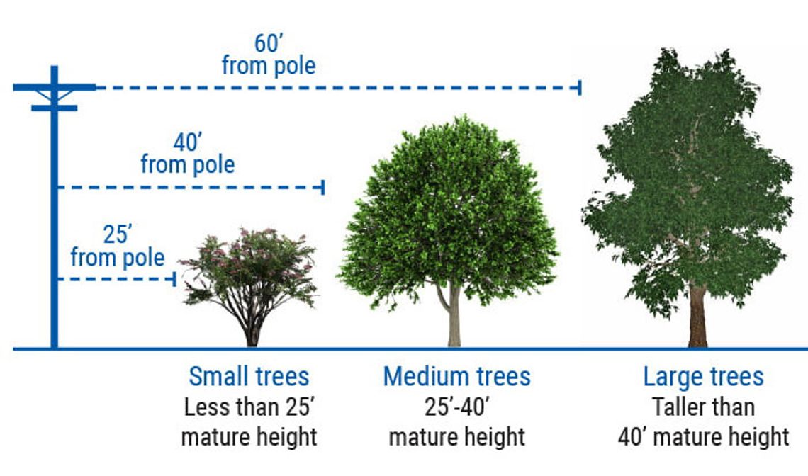 Tips for fall planting