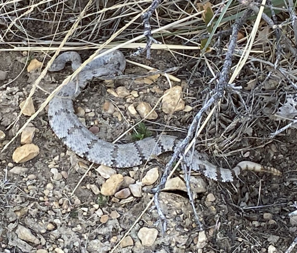 Trail Notes: Horizons of Texas hiking Trail Notes: Horizons of Texas hiking