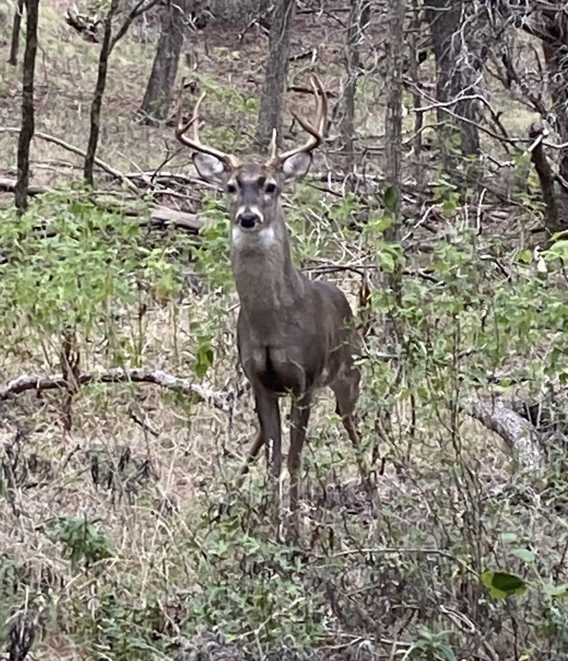 Trail Notes: Mindful Trails Trail Notes: Mindful Trails