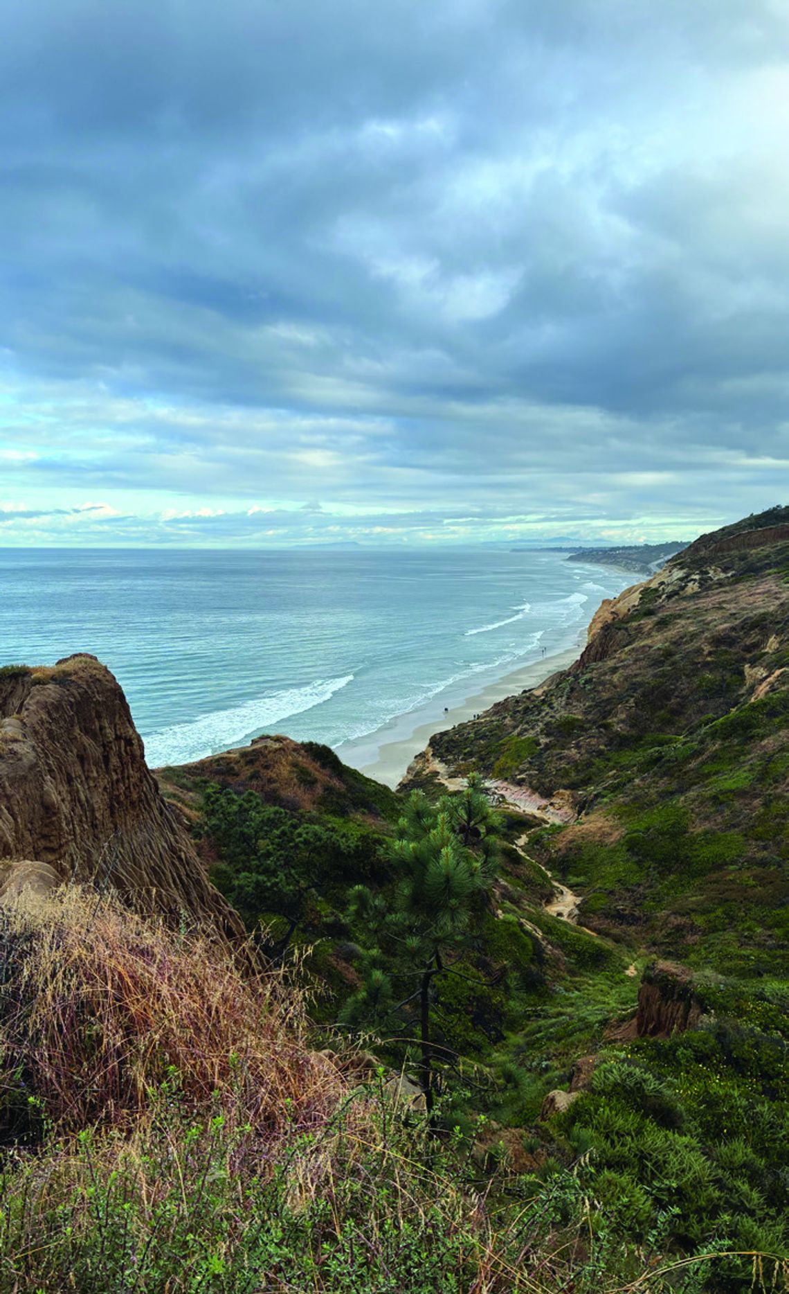 Trail Notes: Soul of a City