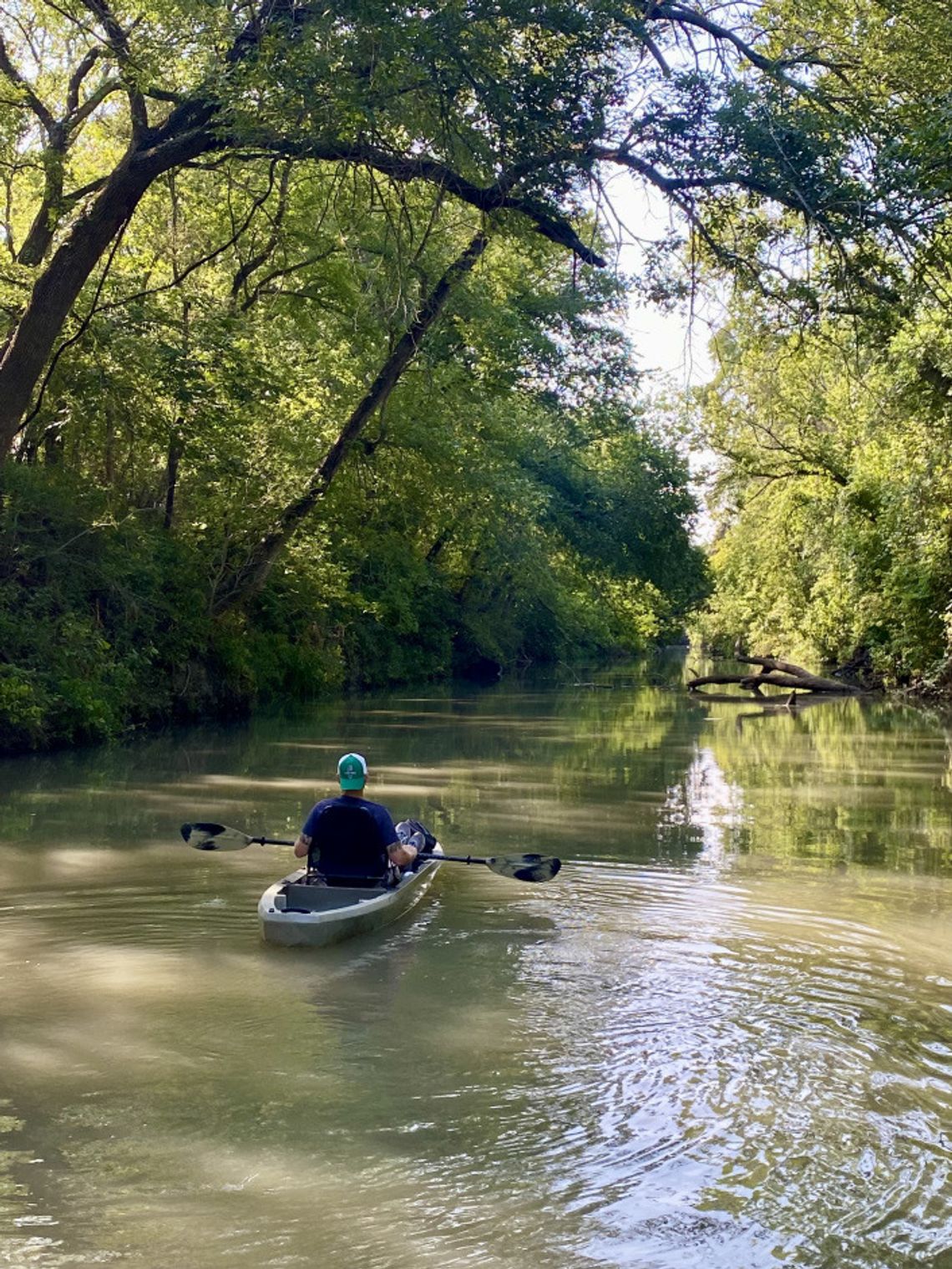 Trail Notes: Trail of the Year