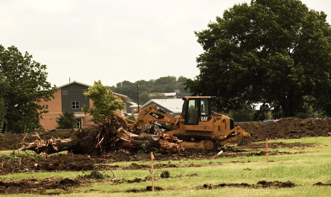 TXST tree removal upsets residents