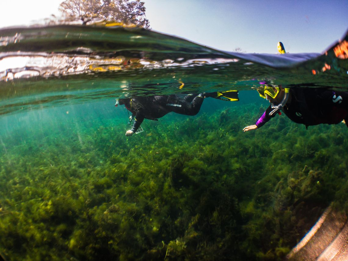 'UNPRECEDENTED ACCESS:' Meadows Center now offers guided snorkel, kayak tours
