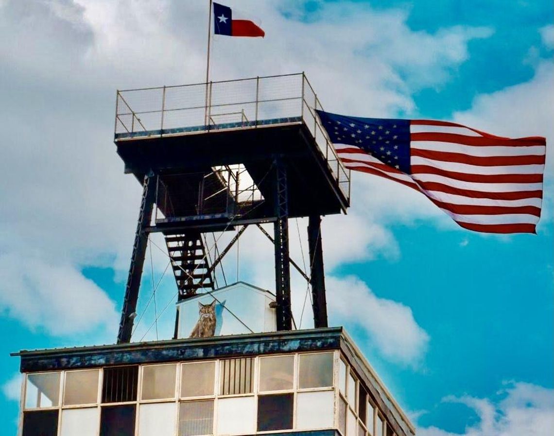 US flag stolen from Wonder World Cave & Adventure Park US flag stolen from Wonder World Cave & Adventure Park