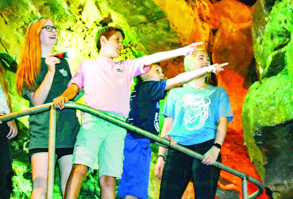 Wonder World receives multiple awards Wonder World receives multiple awards