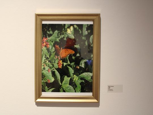 A piece by Maria Luevano A piece by Maria Luevano